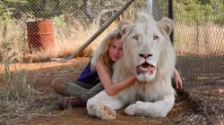 Mia und der weiße Löwe, 1 DVD - dvd
