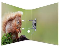 Ordner mit verschiedenen Tierbildern. Abgebildet sind unter anderem ein Waschbär, Rehe und Füchse.