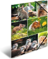 Ordner mit Bildern von kleinen Tieren. Oben: zwei Kaninchen auf einem Baumstamm. Mitte: eine Maus, ein Meerschweinchen und eine Dandelionblume. Unten: eine Gruppe von Ottern.