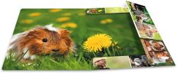 Ordner mit Bildern von kleinen Tieren. Oben: zwei Kaninchen auf einem Baumstamm. Mitte: eine Maus, ein Meerschweinchen und eine Dandelionblume. Unten: eine Gruppe von Ottern.