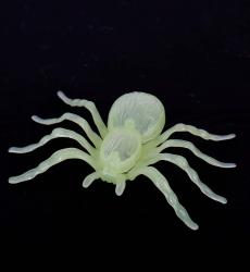 Grüne, durchsichtige Spinne aus Kunststoff. Sie hat acht Beine und einen runden Körper.