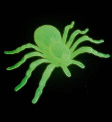 Grüne, durchsichtige Spinne aus Kunststoff. Sie hat acht Beine und einen runden Körper.