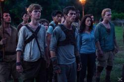 Maze Runner, 1 DVD - DVD