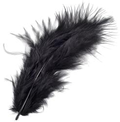 Schwarze Feder mit langen, weichen Fasern. Sie hat eine elegante Form.