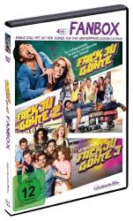 Fack Ju Göhte 1-3 - Fan Box, 4 DVDs - DVD