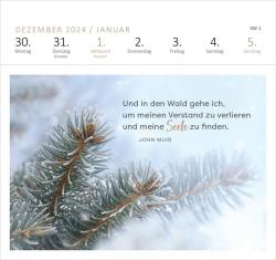 Postkartenkalender Wald und wunderbar 2025