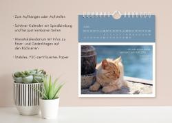 Wandkalender Katzenweisheiten 2025