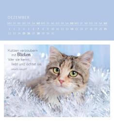 Wandkalender Katzenweisheiten 2025