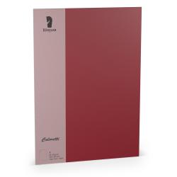 Rotes Papier in A4-Größe mit glatter Oberfläche. Oben links ist ein Logo und unten links eine Beschreibung.