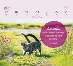 Mini-Wochenkalender 2025: Für Katzenfreunde