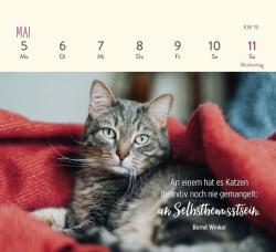 Mini-Wochenkalender 2025: Für Katzenfreunde