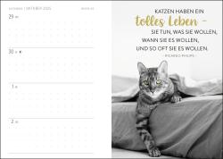 Buchkalender 2025: Für Katzenfreunde