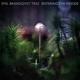 Emil Brandqvist Trio: Entering The Woods, 1 Audio-CD - CD