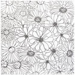 HONSELL Motiv-Keilrahmen Blumen 30 x 30 cm schwarz/weiß