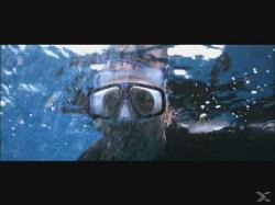 The Reef - Schwimm um dein Leben, 1 Blu-ray - blu_ray