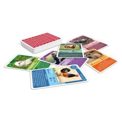Spielkarten mit verschiedenen Tieren. Einige Karten zeigen Bilder und Informationen über die Tiere.