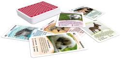 Kartenspiel mit verschiedenen Tierkarten. Jede Karte zeigt ein Tierbild und kurze Informationen.