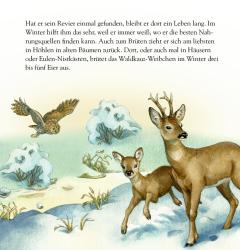 Zettel-Adventskalender - Die Tiere im Winterwald und ihr geheimes Leben