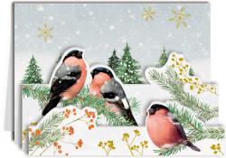 Weihnachtliches Bild mit vier bunten Vögeln auf Tannenzweigen, im Hintergrund Schneefall und Tannenbäume. Goldene Schneeflocken im Himmel, winterliche Stimmung.