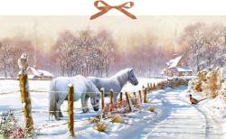 Wand-Adventskalender - Winterponys