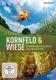 Kornfeld & Wiese, 1 DVD - DVD