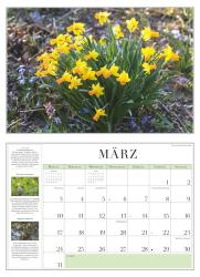 DUMONT - Garten-Kalender 2025 Broschürenkalender, 42x29cm, Wandkalender mit informativen Texten, Kalender mit einer Vielfalt an Blumen und Pflanzen und deutsches Kalendarium