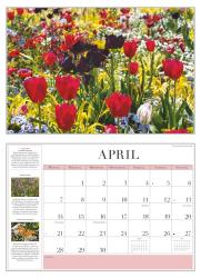 DUMONT - Garten-Kalender 2025 Broschürenkalender, 42x29cm, Wandkalender mit informativen Texten, Kalender mit einer Vielfalt an Blumen und Pflanzen und deutsches Kalendarium