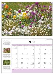 DUMONT - Garten-Kalender 2025 Broschürenkalender, 42x29cm, Wandkalender mit informativen Texten, Kalender mit einer Vielfalt an Blumen und Pflanzen und deutsches Kalendarium