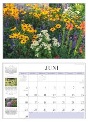 DUMONT - Garten-Kalender 2025 Broschürenkalender, 42x29cm, Wandkalender mit informativen Texten, Kalender mit einer Vielfalt an Blumen und Pflanzen und deutsches Kalendarium