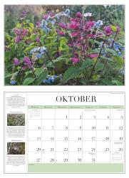 DUMONT - Garten-Kalender 2025 Broschürenkalender, 42x29cm, Wandkalender mit informativen Texten, Kalender mit einer Vielfalt an Blumen und Pflanzen und deutsches Kalendarium