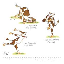 DUMONT - Mit den Yoga-Kühen durchs Jahr 2025 Wandkalender, 23x23cm, Kalender mit den Yoga-Kühen von Klaus Puths, quadratischer Kalender mit deutschem Kalendarium