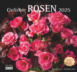 DUMONT - Geliebte Rosen 2025 Wandkalender, 30x30cm, Kalender mit traumhaften Rosensträußen und mit allen wichtigen Feiertagen