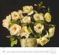 DUMONT - Geliebte Rosen 2025 Wandkalender, 30x30cm, Kalender mit traumhaften Rosensträußen und mit allen wichtigen Feiertagen