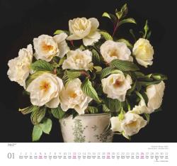 DUMONT - Geliebte Rosen 2025 Wandkalender, 30x30cm, Kalender mit traumhaften Rosensträußen und mit allen wichtigen Feiertagen