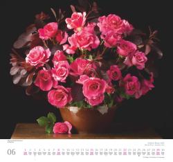 DUMONT - Geliebte Rosen 2025 Wandkalender, 30x30cm, Kalender mit traumhaften Rosensträußen und mit allen wichtigen Feiertagen