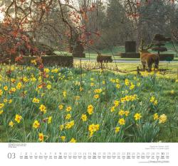 DUMONT - Englische Gärten 2025 Wandkalender, 38x35,5cm, Fotokunst-Kalender  mit berühmten und sehenswerten englischen Gärten und Parks, fotografiert von Gartenspezialist Clive Nichols