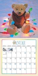 DUMONT - Der Teddybär 2025 Broschürenkalender, 30x30cm, Wandkalender für Sammler und Bärenfreunde, ein beliebter Klassiker seit 1984 im DUMONT-Programm