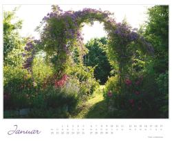 DUMONT - Im Rosengarten 2025 Wandkalender, 52x42,5cm, Garten-Kalender mit eindrucksvollen Rosen-Motiven aus verschiedensten Gärten, deutsches Kalendarium, mit Spiralbindung