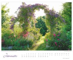 DUMONT - Im Rosengarten 2025 Wandkalender, 52x42,5cm, Garten-Kalender mit eindrucksvollen Rosen-Motiven aus verschiedensten Gärten, deutsches Kalendarium, mit Spiralbindung