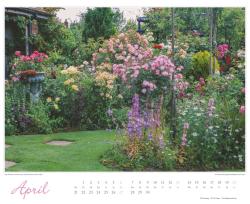 DUMONT - Im Rosengarten 2025 Wandkalender, 52x42,5cm, Garten-Kalender mit eindrucksvollen Rosen-Motiven aus verschiedensten Gärten, deutsches Kalendarium, mit Spiralbindung