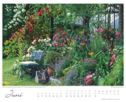 DUMONT - Im Rosengarten 2025 Wandkalender, 52x42,5cm, Garten-Kalender mit eindrucksvollen Rosen-Motiven aus verschiedensten Gärten, deutsches Kalendarium, mit Spiralbindung