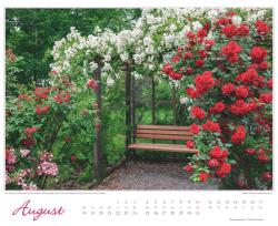 DUMONT - Im Rosengarten 2025 Wandkalender, 52x42,5cm, Garten-Kalender mit eindrucksvollen Rosen-Motiven aus verschiedensten Gärten, deutsches Kalendarium, mit Spiralbindung