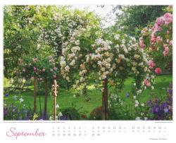 DUMONT - Im Rosengarten 2025 Wandkalender, 52x42,5cm, Garten-Kalender mit eindrucksvollen Rosen-Motiven aus verschiedensten Gärten, deutsches Kalendarium, mit Spiralbindung