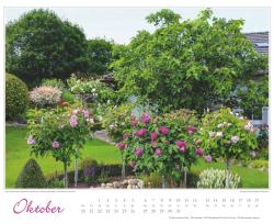 DUMONT - Im Rosengarten 2025 Wandkalender, 52x42,5cm, Garten-Kalender mit eindrucksvollen Rosen-Motiven aus verschiedensten Gärten, deutsches Kalendarium, mit Spiralbindung