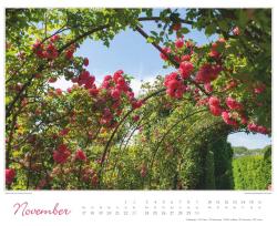 DUMONT - Im Rosengarten 2025 Wandkalender, 52x42,5cm, Garten-Kalender mit eindrucksvollen Rosen-Motiven aus verschiedensten Gärten, deutsches Kalendarium, mit Spiralbindung