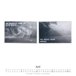 Max Kersting: DUMONT - Max Kersting: Auf der Suche nach Trouble 2025 Wandkalender, 23x23cm, Kalender mit gestellten und absurden Schnappschüssen aus dem Familienalbum, witziger Kalender von Max Kersting