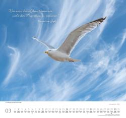 DUMONT - Achtsamkeit 2025 Wandkalender, 38x35,5cm, Fotokunst-Kalender mit Sinnsprüchen, schönen Bildern und den wichtigsten Feiertagen, mit Spiralbindung