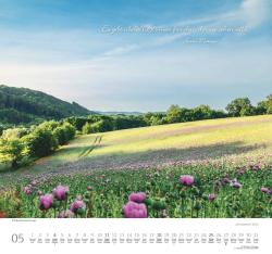 DUMONT - Achtsamkeit 2025 Wandkalender, 38x35,5cm, Fotokunst-Kalender mit Sinnsprüchen, schönen Bildern und den wichtigsten Feiertagen, mit Spiralbindung