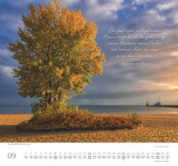 DUMONT - Achtsamkeit 2025 Wandkalender, 38x35,5cm, Fotokunst-Kalender mit Sinnsprüchen, schönen Bildern und den wichtigsten Feiertagen, mit Spiralbindung