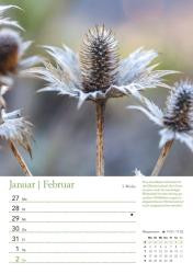 DUMONT - Ein Jahr in meinem Garten 2025 Wochenkalender, 21x29,7cm, Wandkalender mit Pflanzenporträts und handfesten Tipps, Garten- und Pflanzenpflege rund ums Jahr, praktisch, nützlich und d